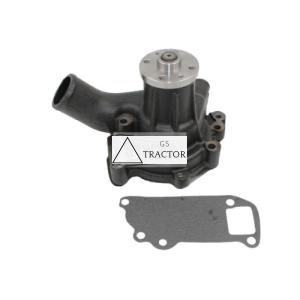 Water Pump 02/802027
